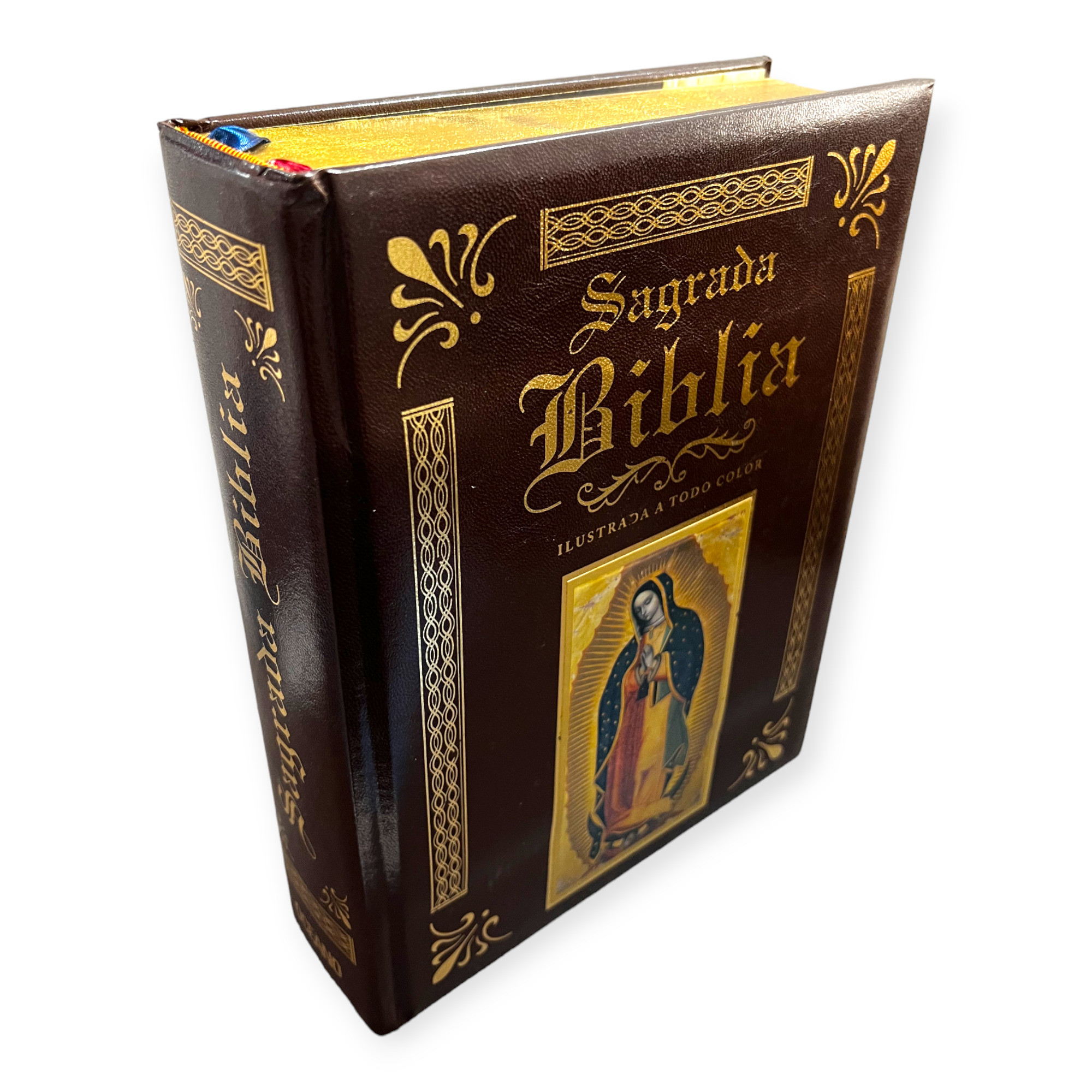 Portada de Sagrada Biblia Ilustrada a Todo Color